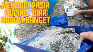 Cara Mencuci Pasir Kucing Biar Bersih Dan Harum