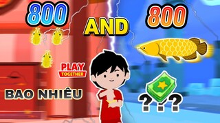 Bán 800 Côn Trùng và 800 Con Cá và số tiền nhận được trong Play Together