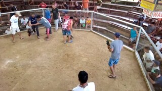 talo po mga idol sayang #MWR Oslob Cockpit Arena