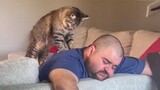 Sweetest Cats And Owner Moments Will Melted Everyone's Hearts - Cutest Cat Ever!!