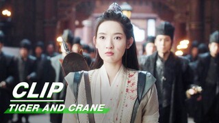 Zhao Xintong Serves as Acting Commander | Tiger and Crane EP20 | 虎鹤妖师录 | iQIYI