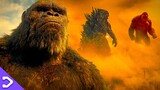 What A Wonderful MonsterVerse | GODZILLA & KONG TRIBUTE