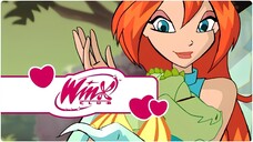 Winx Club - Sezon 3 Bölüm 15 - Ejderha Adası