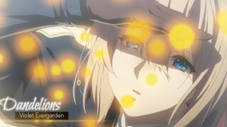 Violet Evergarfen [AMV] Dandelions