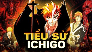 BLEACH | KUROSAKI ICHIGO LÀ AI? KẺ TIÊN PHONG TRONG LÀNG "CON ÔNG CHÁU CHA"