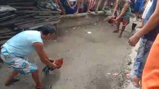 Mar 16 2025 mayahin vs pula