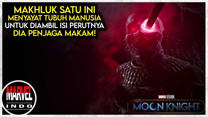 Bertemu Mumi Hidup yang Suka Mengambil Isi Perut - Bahas Serial Moon Knight Eps 4