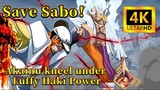 【OP】Save Sabo！Akainu kneel under Luffy Haki Power|One Piece Fan Anime(Part1)