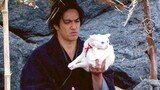 Samurai Itto-ryu yang kecanduan kucing kembali lagi Apa yang mereka alami saat terhanyut di pulau te