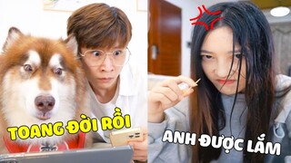 Đông Dương Đại Ngáo | Ngáo + Bố Nghịch Ngu Troll Mẹ Và Cái Kết ...🤣 Gâu Đần Official