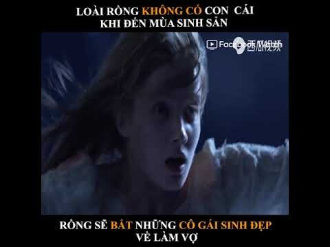LOÀI RỒNG KHÔNG CÓ CON CÁI KHI ĐẾN MÙA SINH SẢN mỗi RỒNG SẼ BẮT NHỮNG CÔ GÁI XINH ĐẸP , VỀ LÀM VỢ