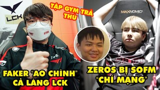 Update LMHT: Faker tuyên bố "ao chình" cả làng LCK tập gym để trả thù - SofM sát muối vào lòng Zeros