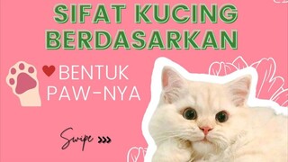 Cara mengetahui karakter kucing hanya dari melihat bentuk paw-nya 🐾