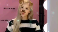 220125  roses_are_rosie