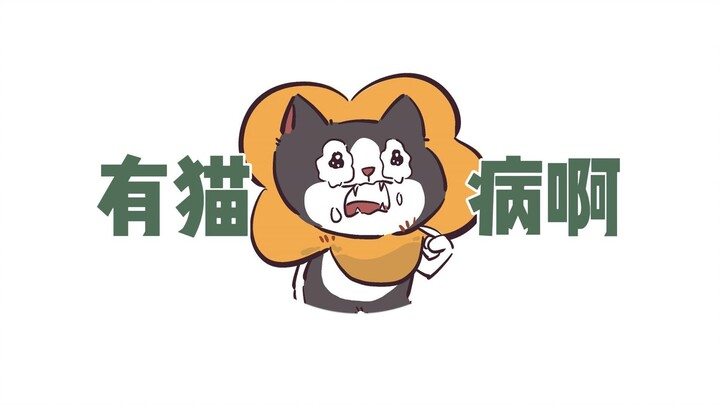 小猫：发明项圈的！是坏人！