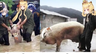 [Leona] Xiaoguang has grown into a big pig and can be slaughtered for New Year's goods