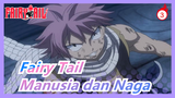 Fairy Tail | Manusia dan Naga_3