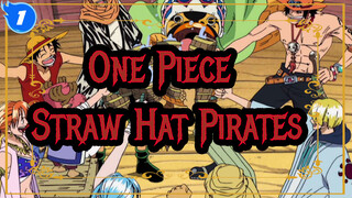 [One Piece AMV] Straw Hat Pirates's Lives on the Sea! (part 6-10)_1