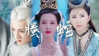 【天欢|魔音|螣蛇】：本天神是司战灵兽，脾气火爆，除魔卫道“岂是你们这种低等生物可比的”