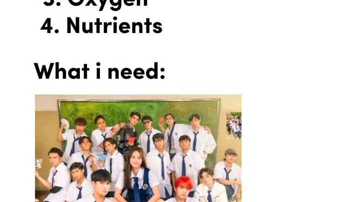 Ang Mutya Ng Section E