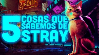 Un juego de SER GATO: COSAS QUE SABEMOS de STRAY