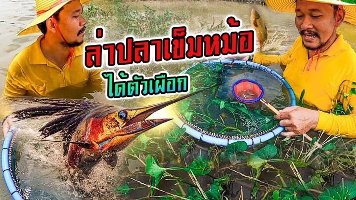 ช้อน ปลาเข็มนา มาเลี้ยง ได้ปลาเข็มเผือก..!