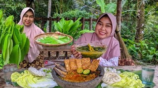 Sumpah Ini Super Lezat, Auto Nambah Nasi Kalo Masak Gulai PUCUK DAUN ini, Sambel Terasi Bumbu Viral