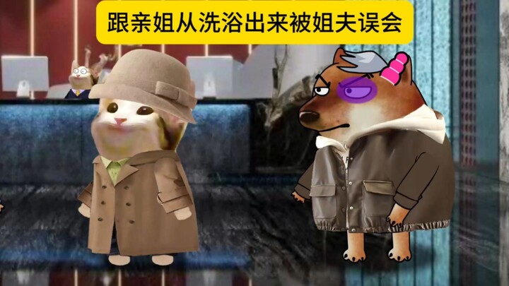 跟亲姐从洗浴出来碰到姐夫被误会