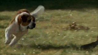 OBRA de cujo!