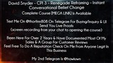David Snyder Course CPI 3 – Renegade Reframing – Instant Conversational Belief Change download