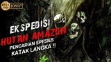 EKSPEDISI MENGERIKAN PENCARIAN SPESIES KATAK LANGKA DI PEDALAMAN HUTAN AMAZON !!