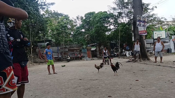 DIRTY DOME ( MATAAS MALAKI KALABAN PERO KINAYA) WIN
