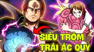 SIÊU TRỘM TRÁI ÁC QUỶ?! | NHỮNG KẺ TRỘM CƯỚP BÁ ĐẠO NHẤT TRONG ONE PIECE