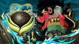 Trái Yami Là Zoan Thần Thoại, Sự Đặc Biệt Của Trái Bóng Tối _ Giả Thuyết One Piece