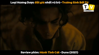 NỘI DUNG PHIM HÀNH TINH CÁT P10