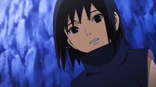 幼年时的鼬探索生命的意义，意外收获通灵兽乌鸦