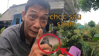 Con Này Mà Thả Vô Người Sáu Sành Thì Sẽ Ra Sao Tư Cà Khịa Ơi