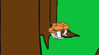恐怖动画：蘑菇
