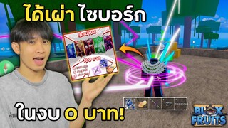 แจกโค้ดสุ่มไก่ตันฟรี ได้เผ่าไซบอร์กในงบ0บาท! | Blox Fruits Roblox