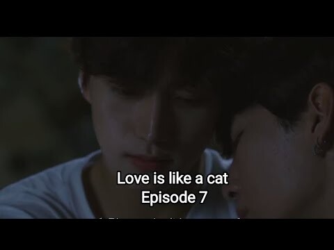 Love is like a cat BL Episode 7[Eng Sub].    #blseries #bldrama #bledit #newbl #fyp