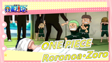 [ONE PIECE] The Man Named Roronoa·Zoro!