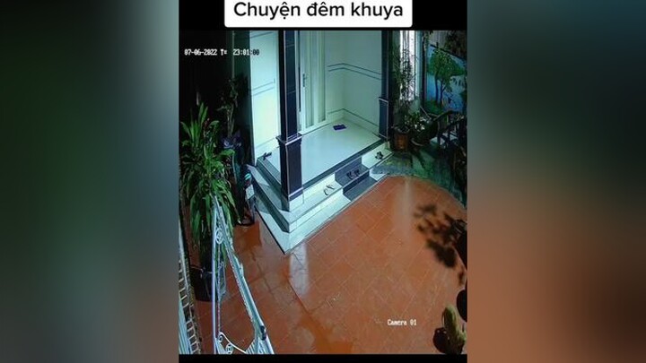 Ngoan lắm thôi, nhịn chứ không đi bậy😙 chócute dog camera