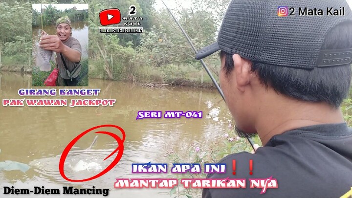 Joran Melengkung Jackpot Gurame❗❗(Micro Fishing)