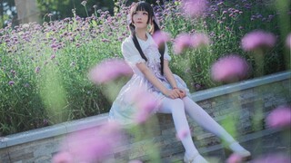 [Dance]Dance in Flower Field|BGM: さようなら、花泥棒さん