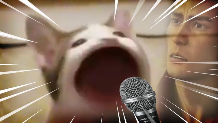 Pop Cat sings Dame Da Ne