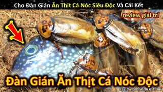 Cho Đàn Gián Ăn Thịt Cá Nóc Sao Siêu Độc Và Cái Kết Không Ngờ || Review Giải Trí Đời Sống