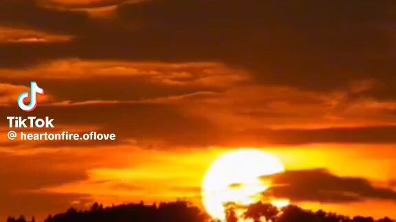 for love