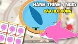 Play Together | Hành Trình 1 Ngày Câu Cá Heo Hồng Cực Cuốn #1 | Kĩ Thuật Và Thời Gian Câu Heo Hồng