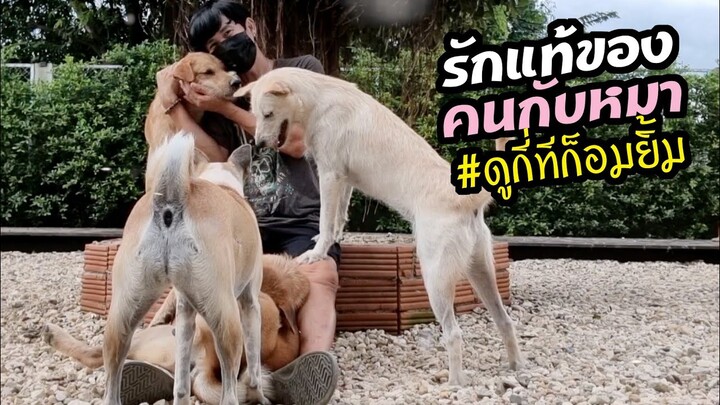 รักแท้คนกับหมาไทย ครอบครัวหมาซอมบี้ #ดูกี่ทีก็อมยิ้ม