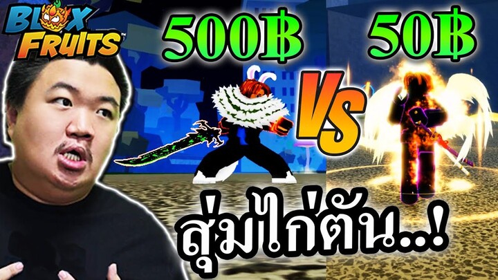 สุ่มไก่ตัน 50฿ VS 500฿ ได้ดาบดำV4T10ตันดวงดีมาก